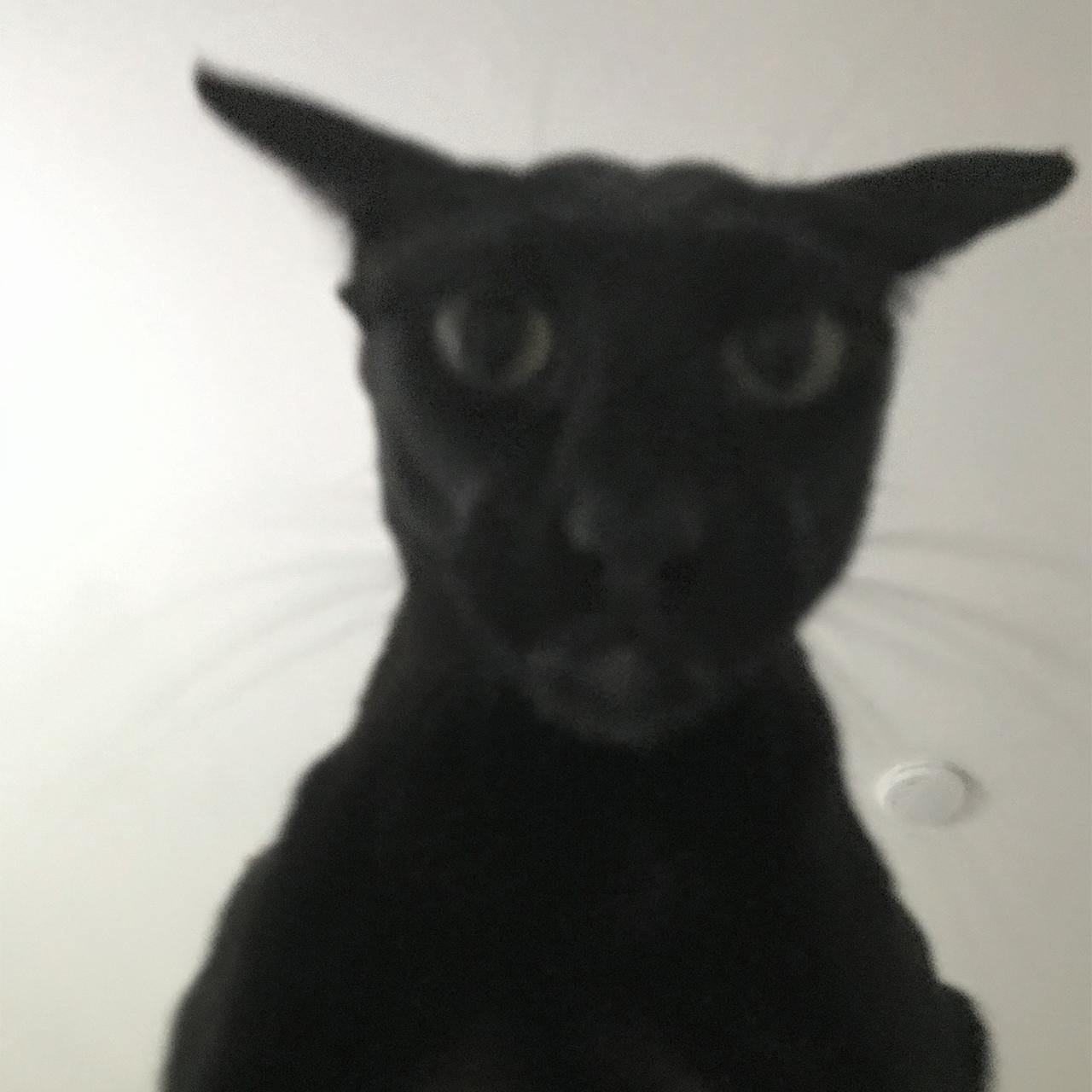 Evil Larry