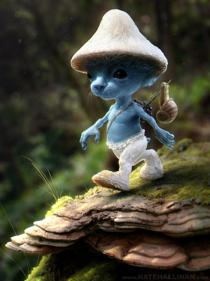 Smurf Cat